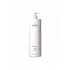 Шампунь Envie Chromactive Color Protector Shampoo для защиты цвета окрашенных волос с экстрактом граната